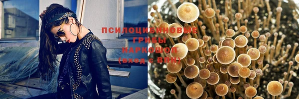 ешки Володарск